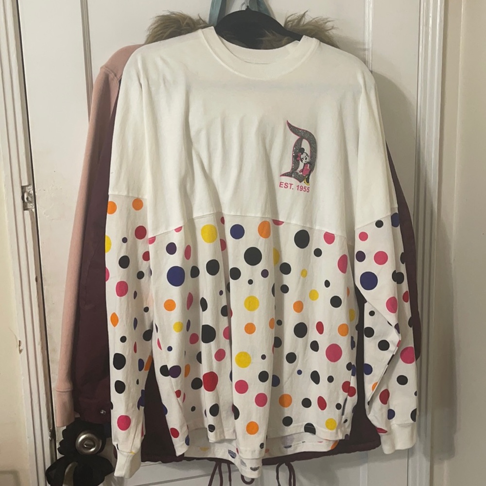 Disneyland spirt Jersey limited edition size med